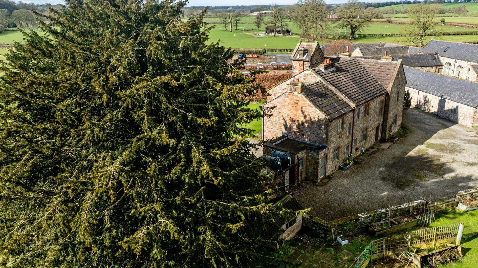 Abbey Bed & Breakfast *